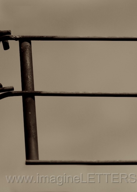 Wall_Art_Alphabet_Photography_Art_ 519.jpg